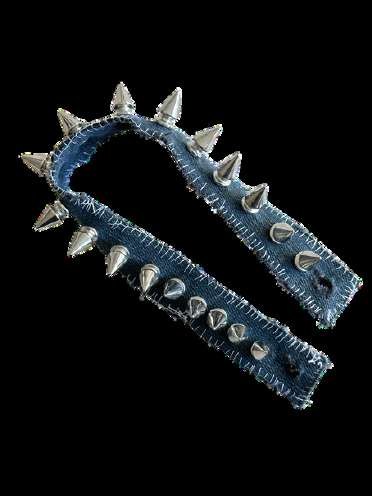 Spiked band